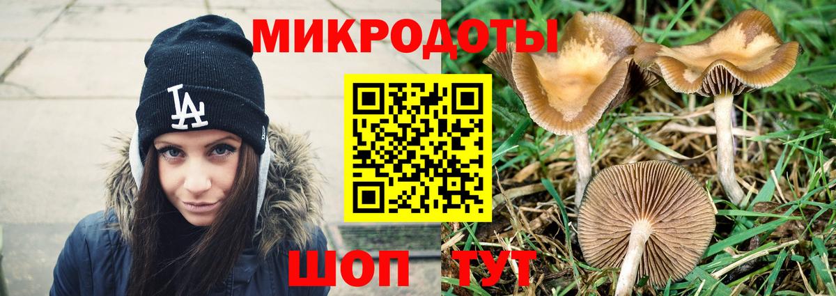 Псилоцибиновые грибы мицелий  цена наркотик  Калач-на-Дону  Вход с VPN 